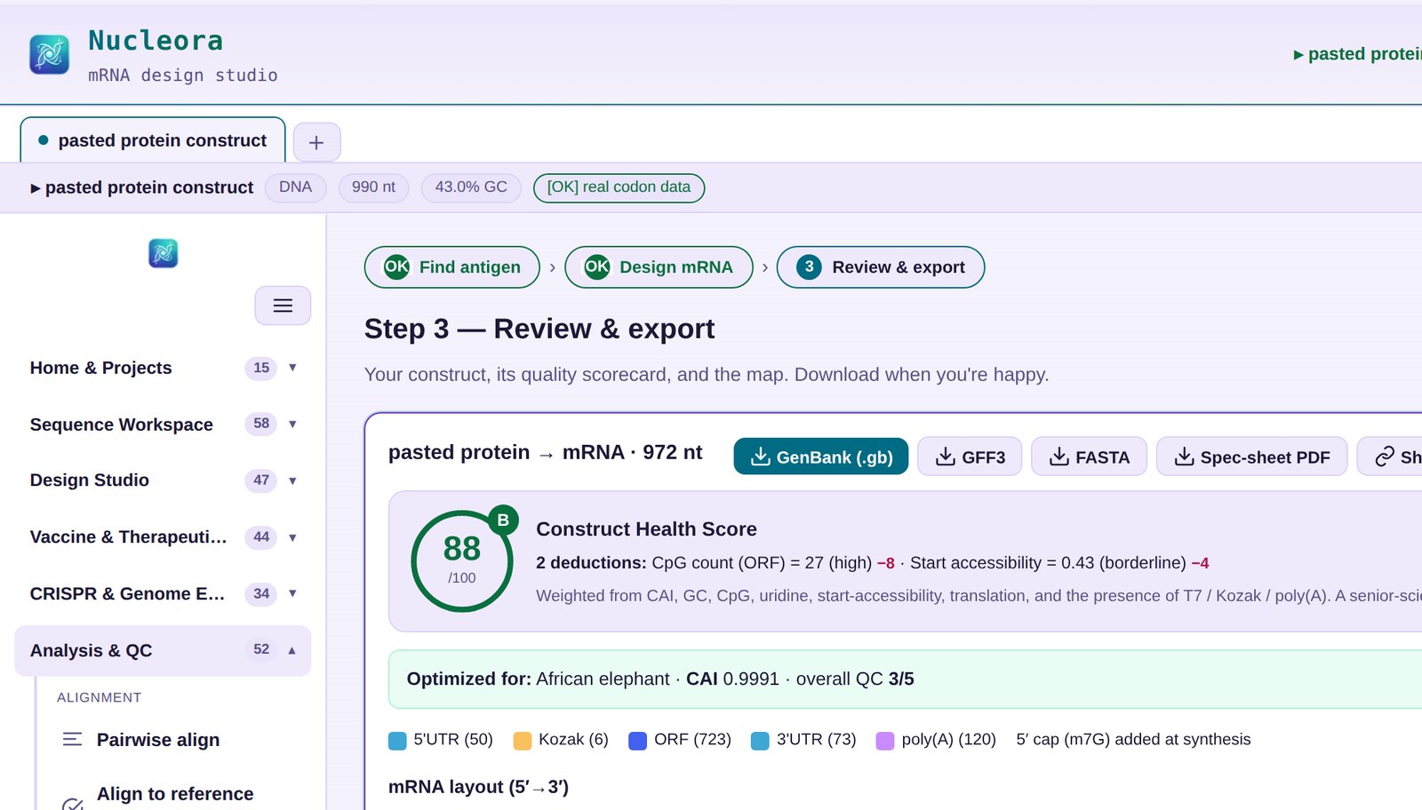 Step 3 review and export screen showing the construct health score